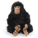 Chimpanzee Plush Toy 25cm