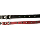 Leather Studed Collar 75cm