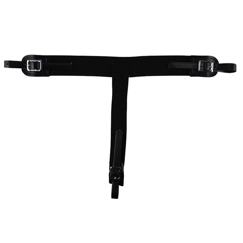 Alliance Catchers Mask Spare Strap Set