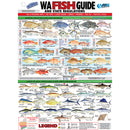 Vinyylikala -tunnuskortti