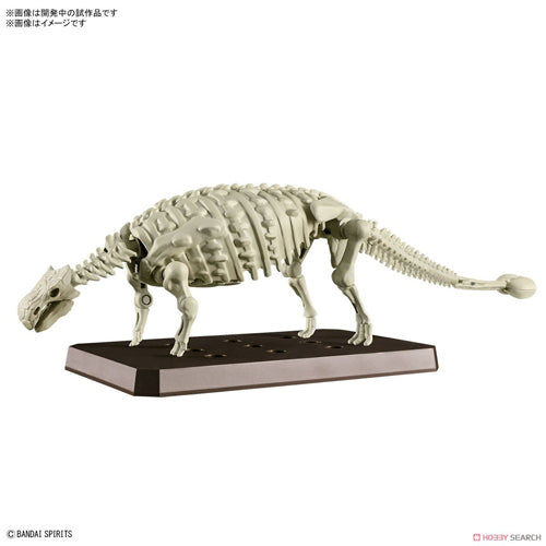 Plannosaurus Ankylosaurus Model