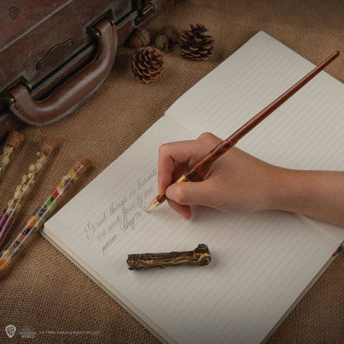 Harry Potter Harry Pen, Pen Stand & Bookmark