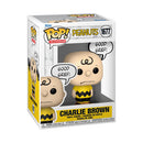 Peanuts Charlie Brown "Good Grief" Pop! Vinyl