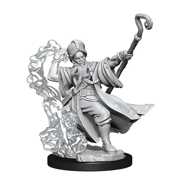 D&D Frameworks Human Wizard Male