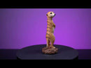 Meerkat -hahmo