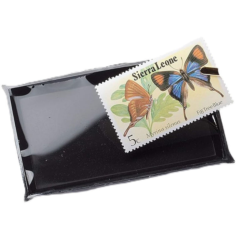 Leuchtturm Watermark Detector Tray (Black)