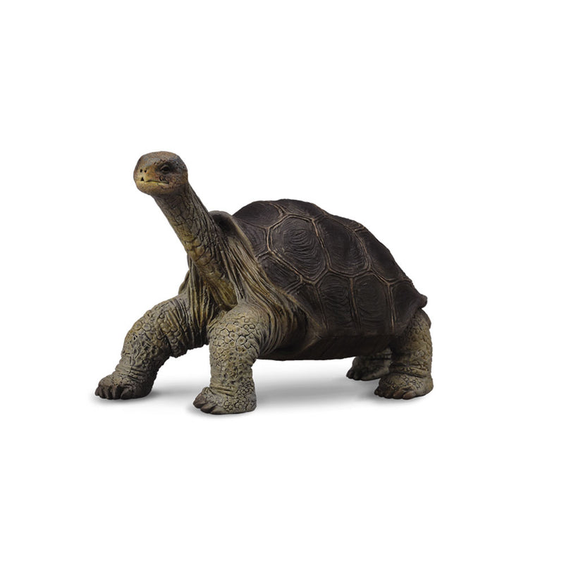 CollectA Pinta Island Tortoise George Figure (Medium)