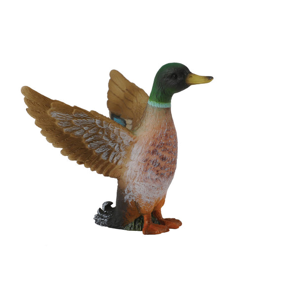 CollectA Male Mallard Duck Figure (Small)