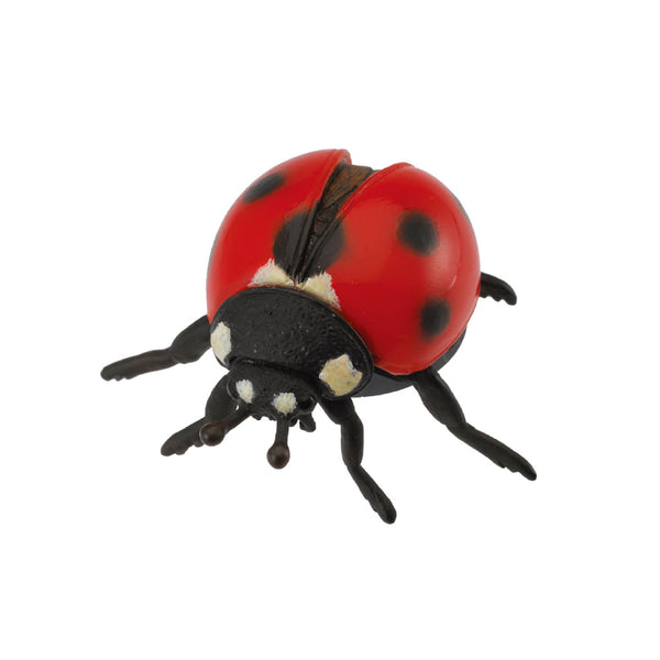 CollectA Ladybird Figure (Medium)
