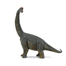 Collecta Brachiosaurus Dinosaur -hahmo