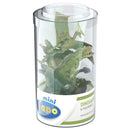 Papo Mini Plus dinosaurifigurer 6st