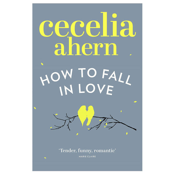 How To Fall In Love Novel by Cecelia Ahern