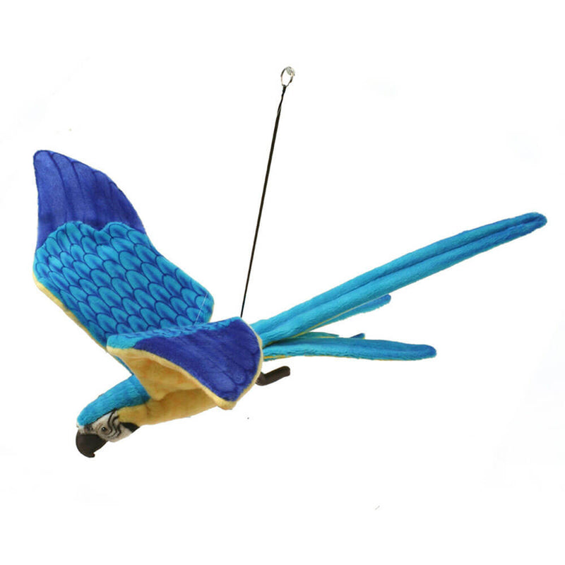 Hansa lentävä sininen ja keltainen macaw