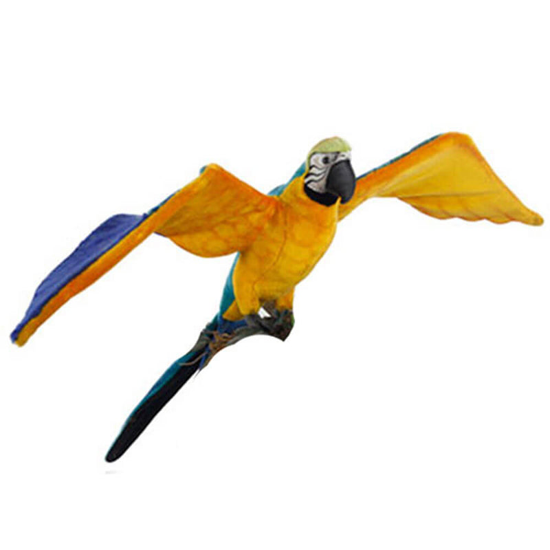 Hansa lentävä sininen ja keltainen macaw