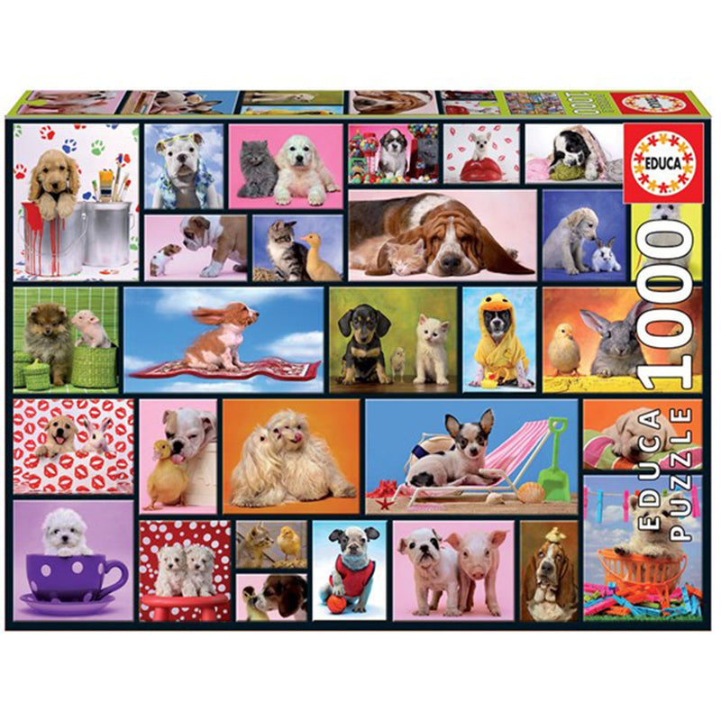Educa Puzzle Collection 1000st