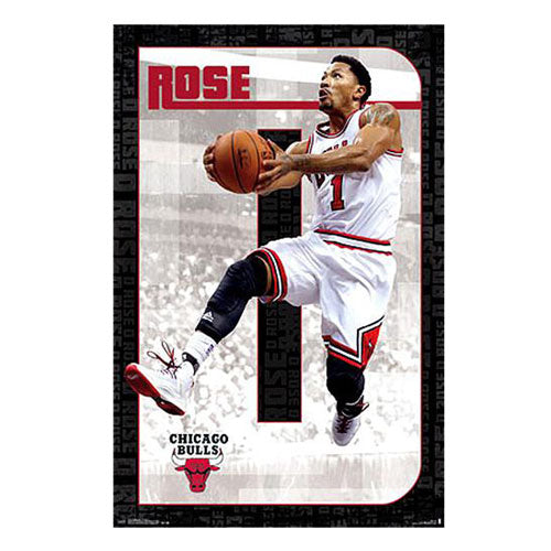 NBA Chicago Bulls Poster