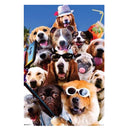 Satunnainen galaksijuliste