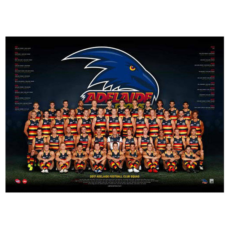 AFL 2017 Team -juliste