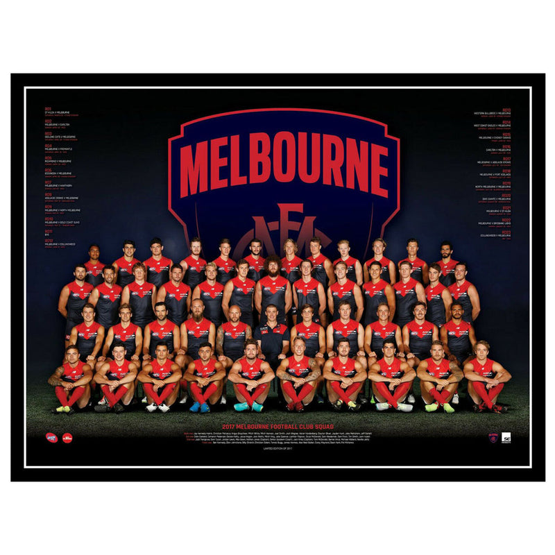 AFL 2017 Team -juliste