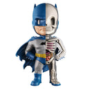 Xxray hauska anatomiahahmo