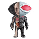 Xxray hauska anatomiahahmo