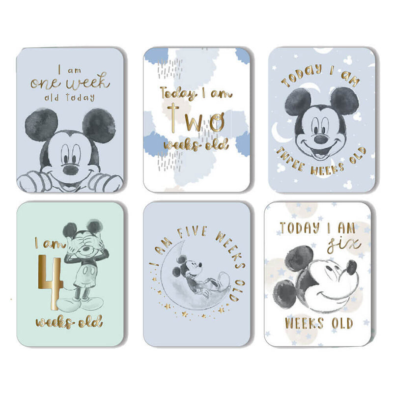 Disney Gifts Milestone Cards (24 st)