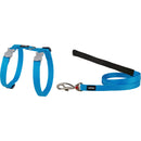 Klassinen kissan valjaat ja pääyhdistelmä