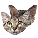 Pikkii hauska mikrokuitupolyesterikangas